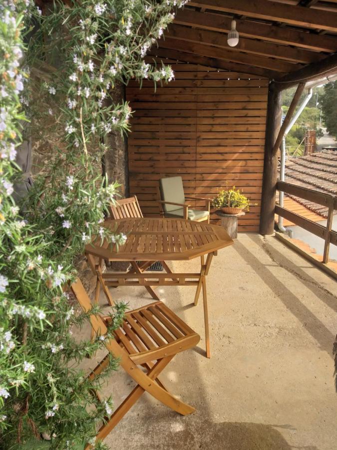 Casa Do Alto Holiday home Penacova